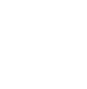 INDUSTRY, INNOVATION AND INFRASTRUCTURE